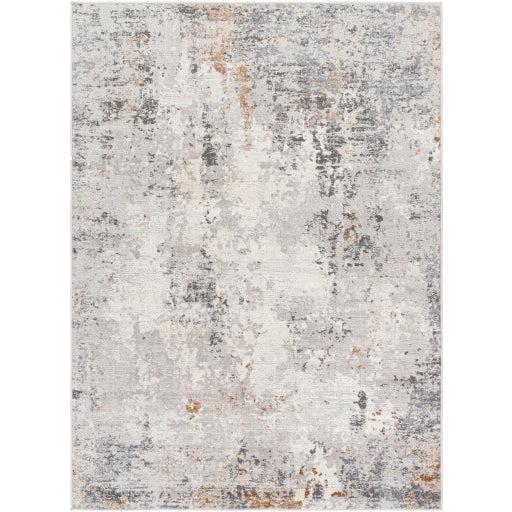Surya Alamo ALO-2313 Gray Modern Machinemade Rug