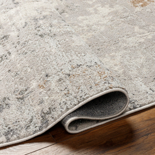 Surya Alamo ALO-2313 Gray Modern Machinemade Rug