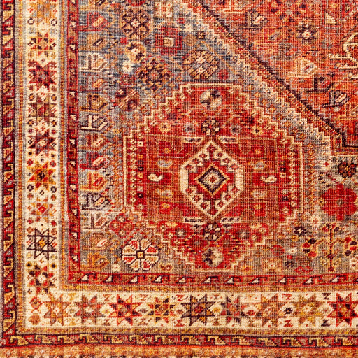 Surya Amelie AML-2339 Burnt Orange Traditional Machinemade Rug