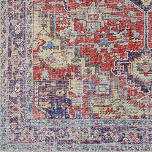 Surya Amelie AML-2372 Burgandy Traditional Machinemade Rug