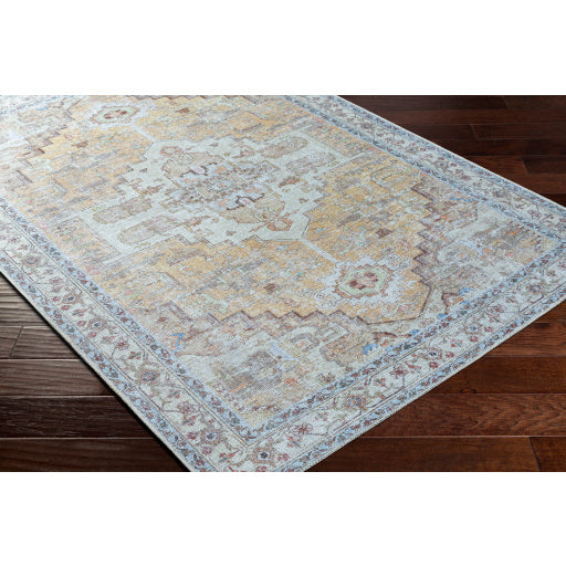Surya Amelie AML-2373 Tan Traditional Machinemade Rug