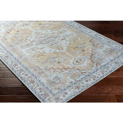 Surya Amelie AML-2373 Tan Traditional Machinemade Rug