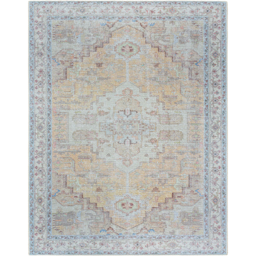 Surya Amelie AML-2373 Tan Traditional Machinemade Rug