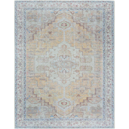 Surya Amelie AML-2373 Tan Traditional Machinemade Rug