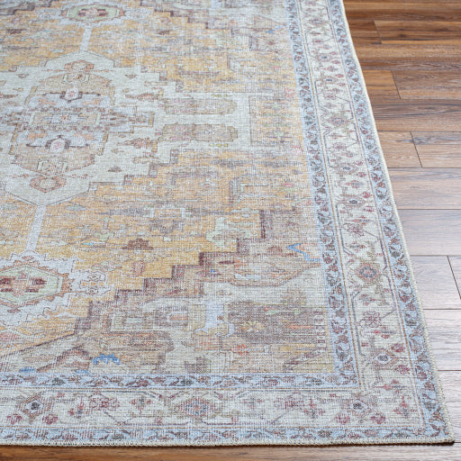 Surya Amelie AML-2373 Tan Traditional Machinemade Rug