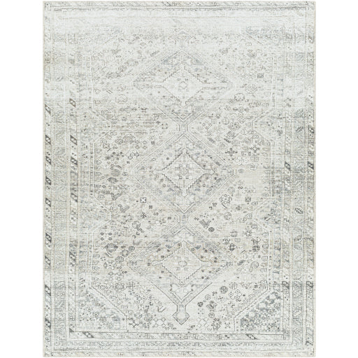 Surya Amelie AML-2379 Off-White Traditional Machinemade Rug