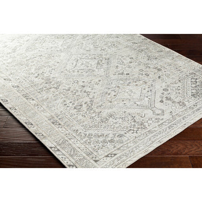 Surya Amelie AML-2379 Off-White Traditional Machinemade Rug