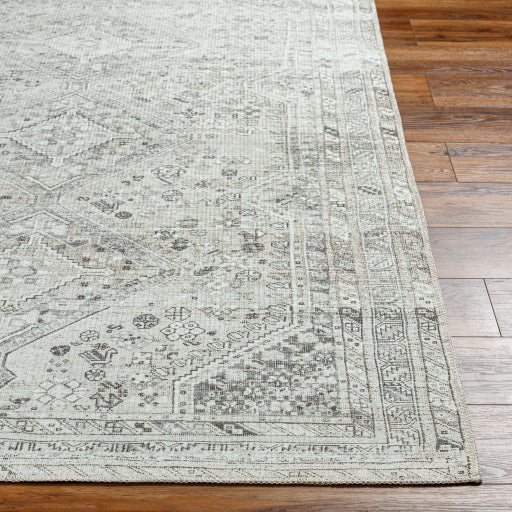 Surya Amelie AML-2379 Off-White Traditional Machinemade Rug