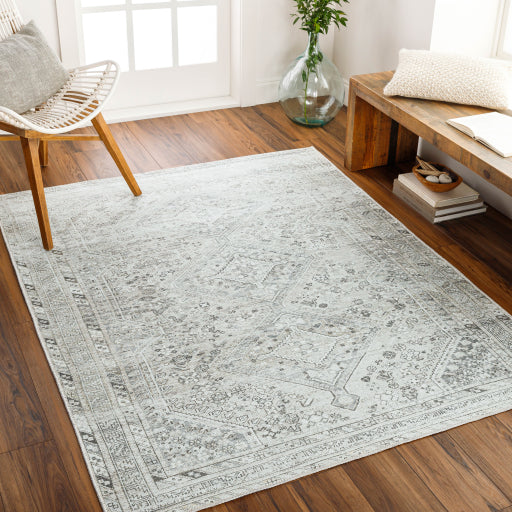Surya Amelie AML-2379 Off-White Traditional Machinemade Rug