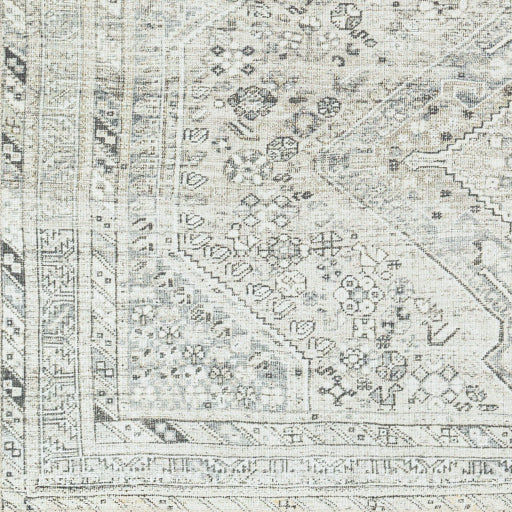 Surya Amelie AML-2379 Off-White Traditional Machinemade Rug