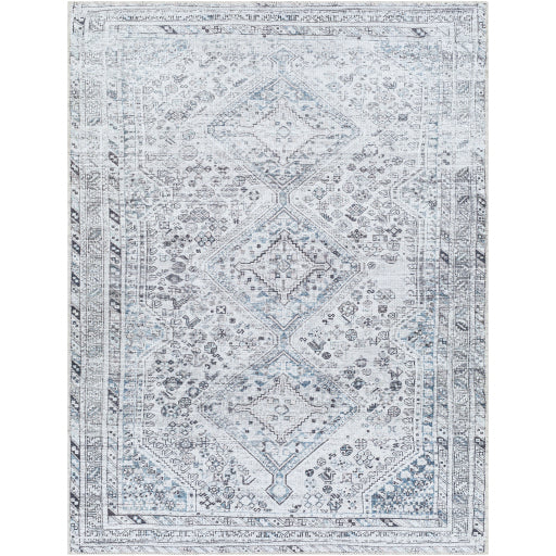 Surya Amelie AML-2380 Off-White Traditional Machinemade Rug
