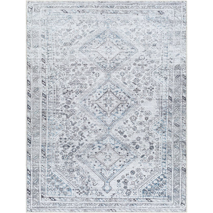 Surya Amelie AML-2380 Off-White Traditional Machinemade Rug