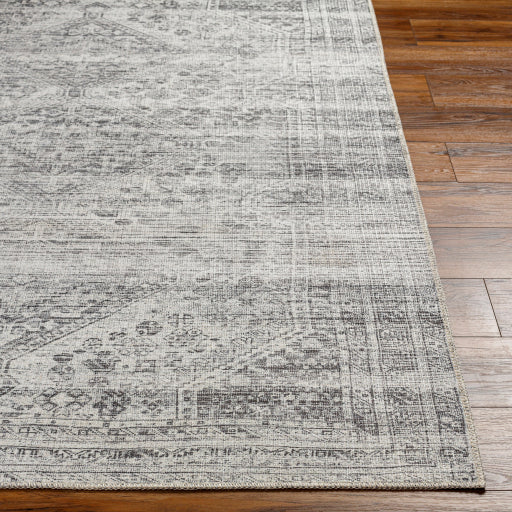 Surya Amelie AML-2381 Off-White Traditional Machinemade Rug