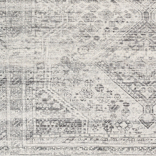 Surya Amelie AML-2381 Off-White Traditional Machinemade Rug