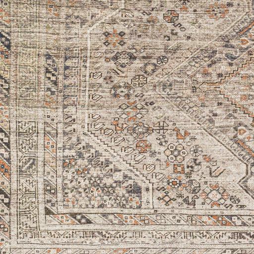 Surya Amelie AML-2383 Ivory Traditional Machinemade Rug