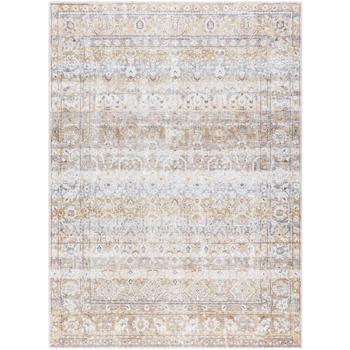 Surya Amelie AML-2400 Beige Traditional Machinemade Rug