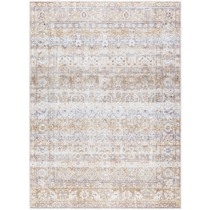 Surya Amelie AML-2400 Beige Traditional Machinemade Rug