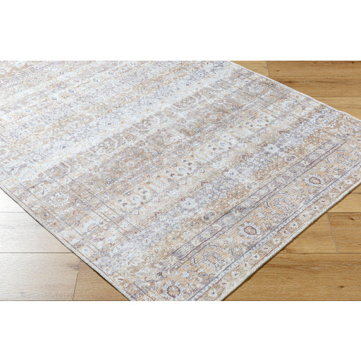 Surya Amelie AML-2400 Beige Traditional Machinemade Rug