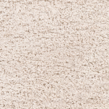 Surya Angora ANG-2301 Oatmeal Modern Machinemade Rug