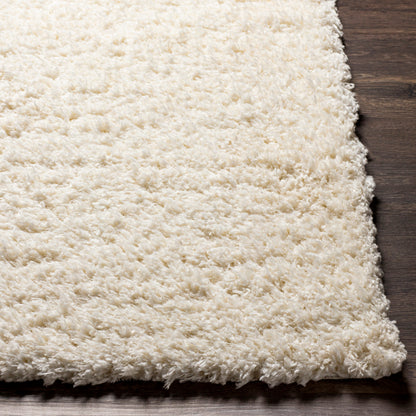 Surya Angora ANG-2304 Cream Modern Machinemade Rug