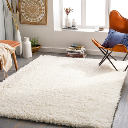 Surya Angora ANG-2304 Cream Modern Machinemade Rug