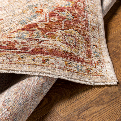 Surya Aspendos APS-2308 Light Gray Traditional Machinemade Rug