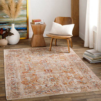 Surya Aspendos APS-2318 Light Gray Traditional Machinemade Rug