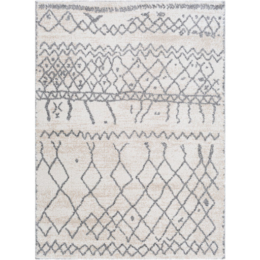 Surya Andorra ARD-2303 Charcoal Global Machinemade Rug