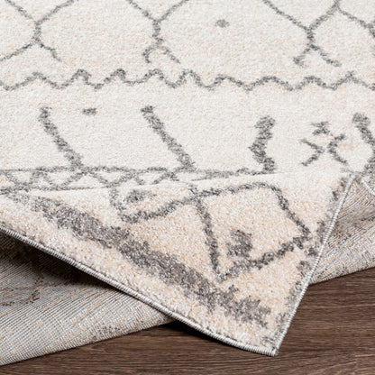 Surya Andorra ARD-2303 Charcoal Global Machinemade Rug