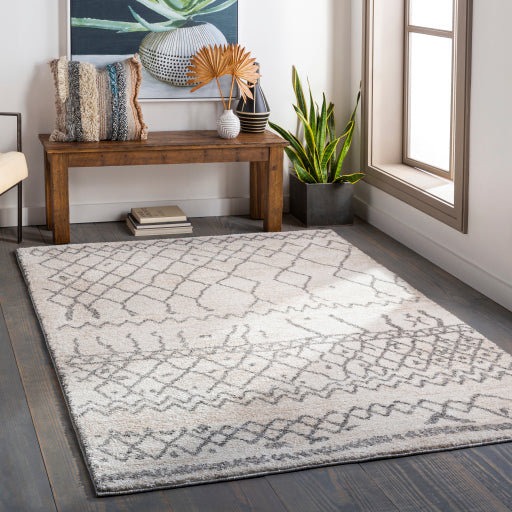 Surya Andorra ARD-2303 Charcoal Global Machinemade Rug