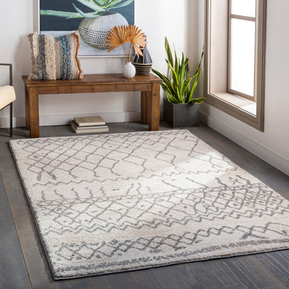 Surya Andorra ARD-2303 Charcoal Global Machinemade Rug