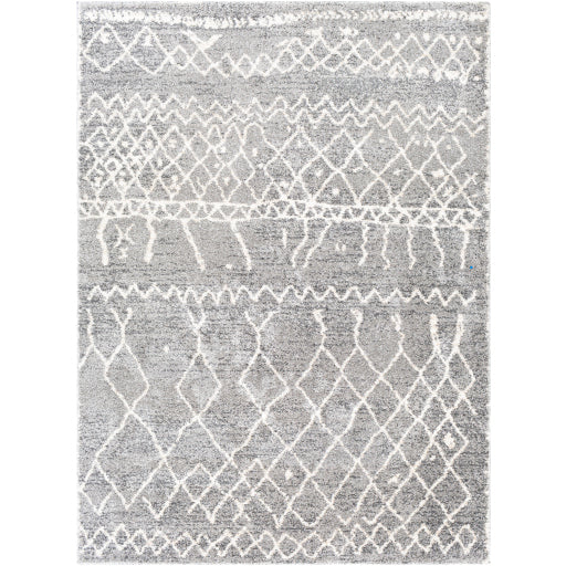 Surya Andorra ARD-2304 Gray Global Machinemade Rug