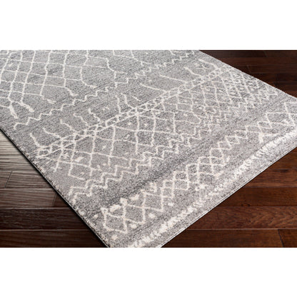 Surya Andorra ARD-2304 Gray Global Machinemade Rug