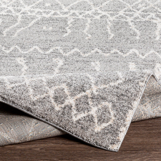 Surya Andorra ARD-2304 Gray Global Machinemade Rug