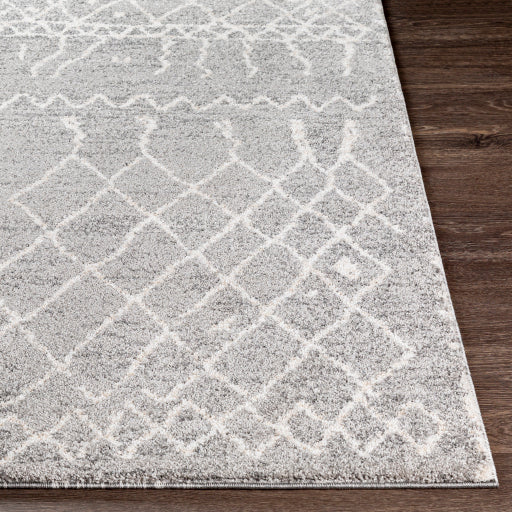 Surya Andorra ARD-2304 Gray Global Machinemade Rug