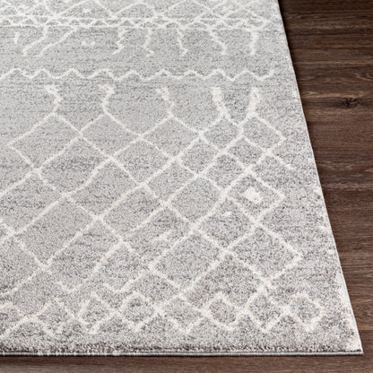 Surya Andorra ARD-2304 Gray Global Machinemade Rug