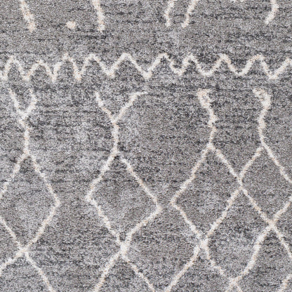 Surya Andorra ARD-2304 Gray Global Machinemade Rug