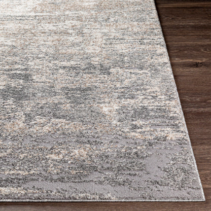 Surya Andorra ARD-2306 Gray Modern Machinemade Rug