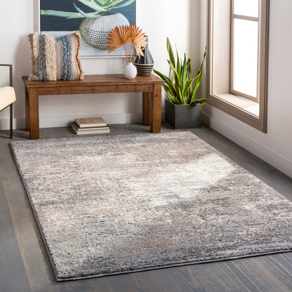 Surya Andorra ARD-2306 Gray Modern Machinemade Rug