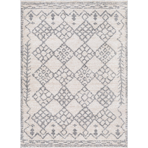 Surya Andorra ARD-2307 Charcoal Global Machinemade Rug