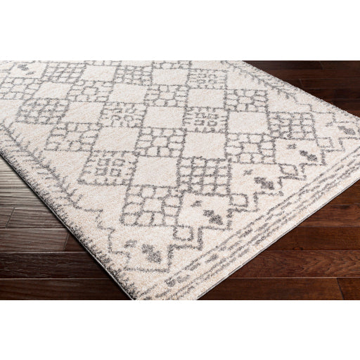 Surya Andorra ARD-2307 Charcoal Global Machinemade Rug