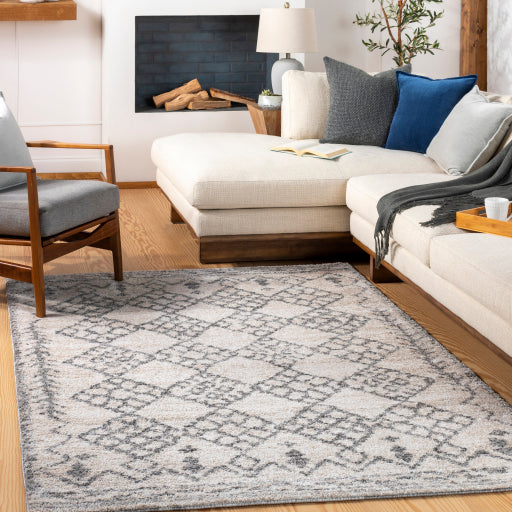 Surya Andorra ARD-2307 Charcoal Global Machinemade Rug