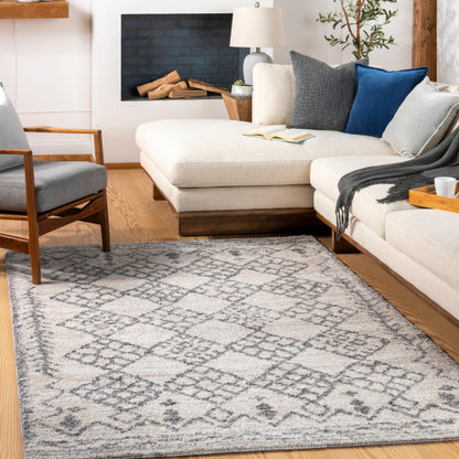 Surya Andorra ARD-2307 Charcoal Global Machinemade Rug