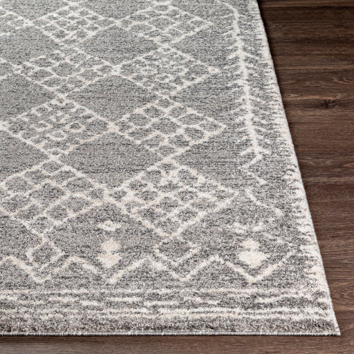 Surya Andorra ARD-2308 Gray Global Machinemade Rug
