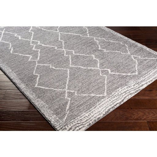 Surya Andorra ARD-2309 Charcoal Global Machinemade Rug