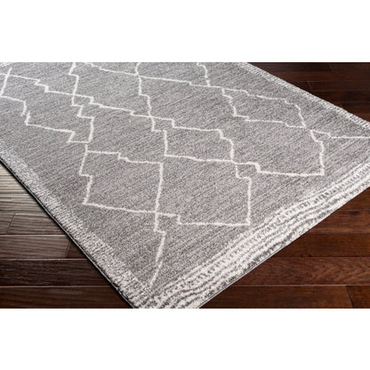 Surya Andorra ARD-2309 Charcoal Global Machinemade Rug
