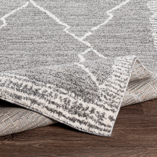Surya Andorra ARD-2309 Charcoal Global Machinemade Rug