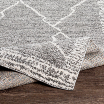 Surya Andorra ARD-2309 Charcoal Global Machinemade Rug