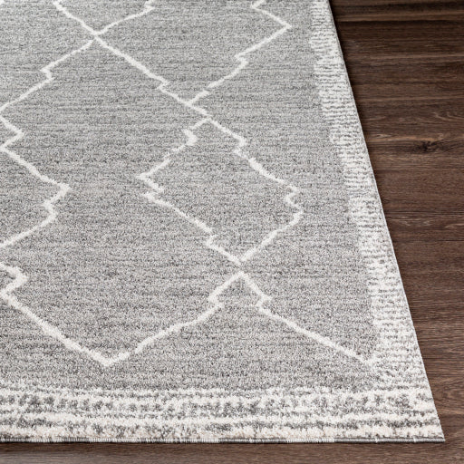 Surya Andorra ARD-2309 Charcoal Global Machinemade Rug