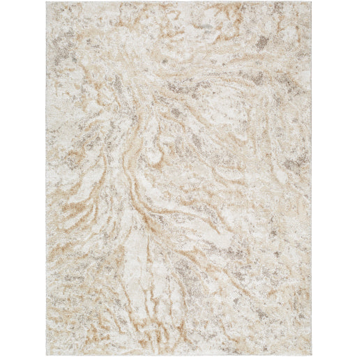 Surya Andorra Plus ARP-2300  Cottage Machinemade Rug